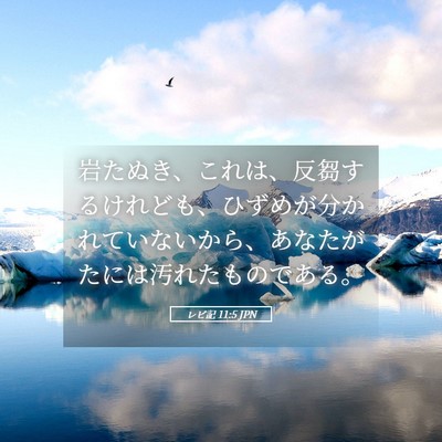 Picture 05 - レビ記 11:5 JPN - 岩たぬき、これは、反芻するけれど - Bible Verse Picture
