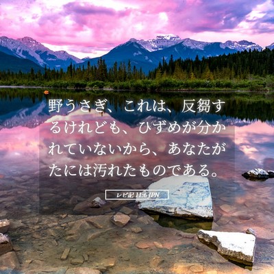 Picture 05 - レビ記 11:6 JPN - 野うさぎ、これは、反芻するけれど - Bible Verse Picture