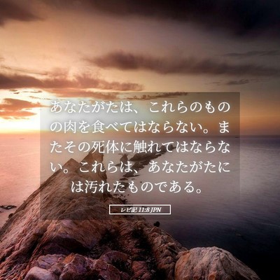 Picture 05 - レビ記 11:8 JPN - あなたがたは、これらのものの肉を - Bible Verse Picture