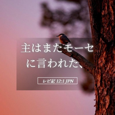 Picture 05 - レビ記 12:1 JPN - 主はまたモーセに言われた、 - Bible Verse Picture