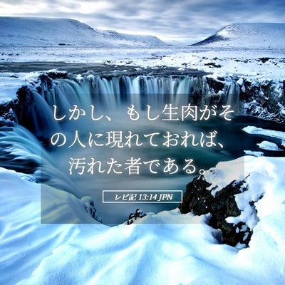 Picture 05 - レビ記 13:14 JPN - しかし、もし生肉がその人に現れて - Bible Verse Picture