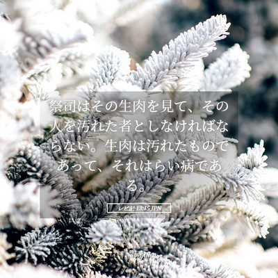 Picture 05 - レビ記 13:15 JPN - 祭司はその生肉を見て、その人を汚 - Bible Verse Picture