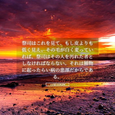 Picture 05 - レビ記 13:20 JPN - 祭司はこれを見て、もし皮よりも低 - Bible Verse Picture