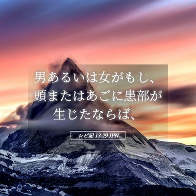 Picture 05 - レビ記 13:29 JPN - 男あるいは女がもし、頭またはあご - Bible Verse Picture
