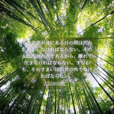 Picture 05 - レビ記 13:46 JPN - その患部が身にある日の間は汚れた - Bible Verse Picture