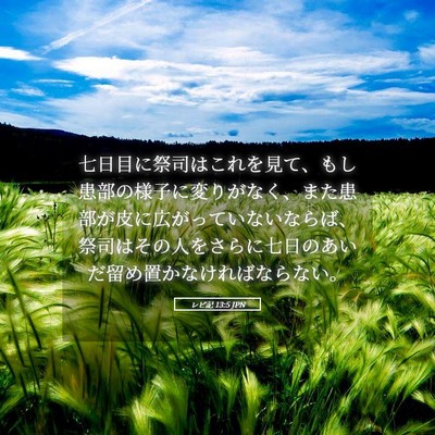 Picture 05 - レビ記 13:5 JPN - 七日目に祭司はこれを見て、もし患 - Bible Verse Picture