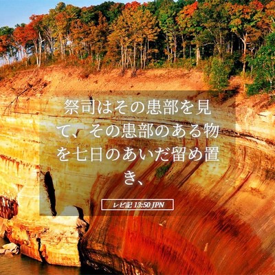 Picture 05 - レビ記 13:50 JPN - 祭司はその患部を見て、その患部の - Bible Verse Picture