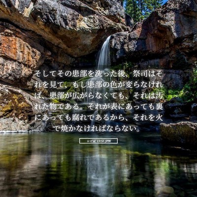 Picture 05 - レビ記 13:55 JPN - そしてその患部を洗った後、祭司は - Bible Verse Picture