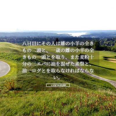 Picture 05 - レビ記 14:10 JPN - 八日目にその人は雄の小羊の全きも - Bible Verse Picture