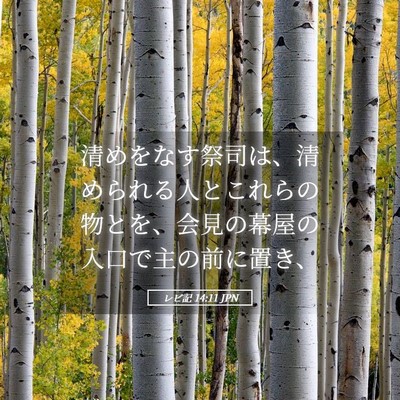 Picture 05 - レビ記 14:11 JPN - 清めをなす祭司は、清められる人と - Bible Verse Picture