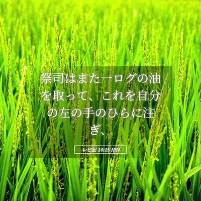 Picture 05 - レビ記 14:15 JPN - 祭司はまた一ログの油を取って、こ - Bible Verse Picture