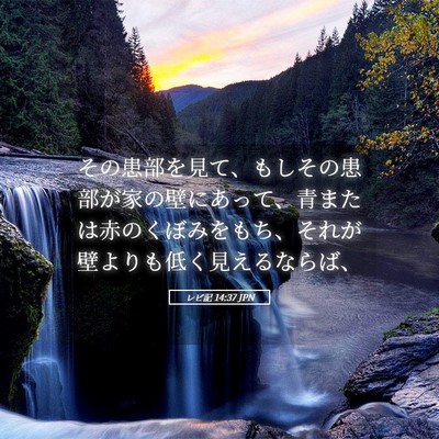 Picture 05 - レビ記 14:37 JPN - その患部を見て、もしその患部が家 - Bible Verse Picture