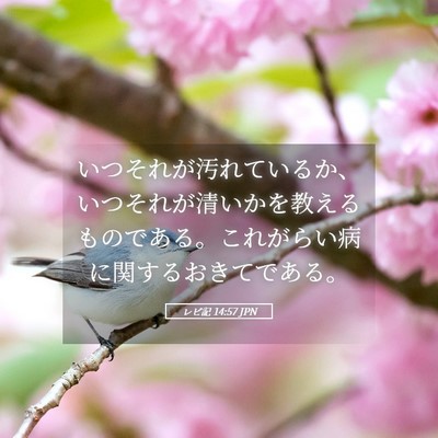 Picture 05 - レビ記 14:57 JPN - いつそれが汚れているか、いつそれ - Bible Verse Picture