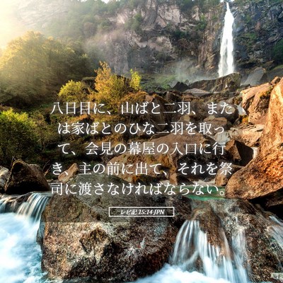 Picture 05 - レビ記 15:14 JPN - 八日目に、山ばと二羽、または家ば - Bible Verse Picture