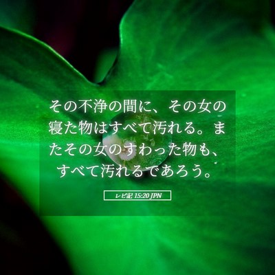 Picture 05 - レビ記 15:20 JPN - その不浄の間に、その女の寝た物は - Bible Verse Picture