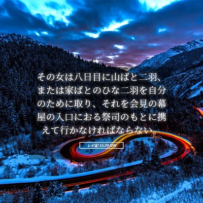 Picture 05 - レビ記 15:29 JPN - その女は八日目に山ばと二羽、また - Bible Verse Picture