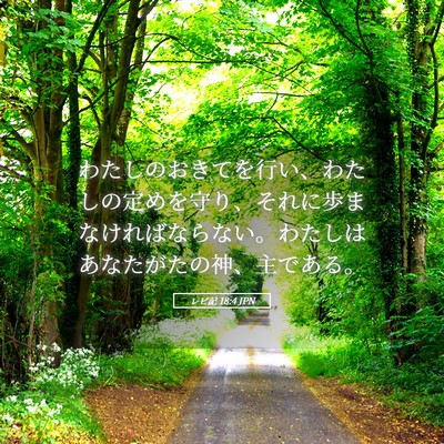 Picture 05 - レビ記 18:4 JPN - わたしのおきてを行い、わたしの定 - Bible Verse Picture