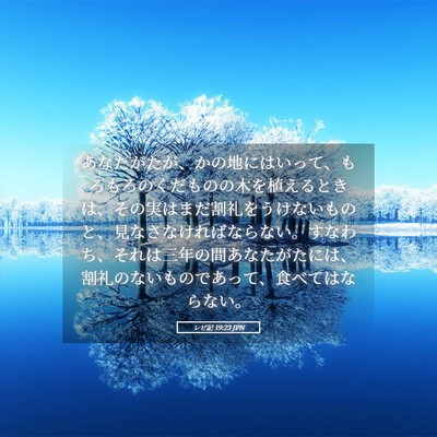 Picture 05 - レビ記 19:23 JPN - あなたがたが、かの地にはいって、 - Bible Verse Picture