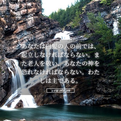 Picture 05 - レビ記 19:32 JPN - あなたは白髪の人の前では、起立し - Bible Verse Picture
