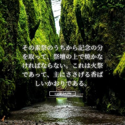Picture 05 - レビ記 2:9 JPN - その素祭のうちから記念の分を取っ - Bible Verse Picture