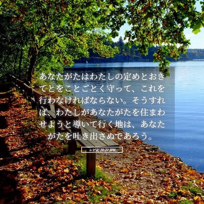 Picture 05 - レビ記 20:22 JPN - あなたがたはわたしの定めとおきて - Bible Verse Picture