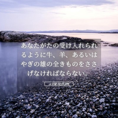 Picture 05 - レビ記 22:19 JPN - あなたがたの受け入れられるように - Bible Verse Picture