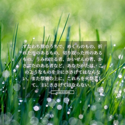 Picture 05 - レビ記 22:22 JPN - すなわち獣のうちで、めくらのもの - Bible Verse Picture