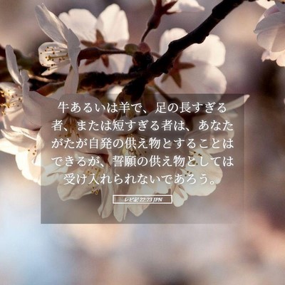 Picture 05 - レビ記 22:23 JPN - 牛あるいは羊で、足の長すぎる者、 - Bible Verse Picture