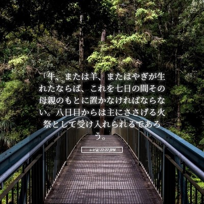 Picture 05 - レビ記 22:27 JPN - 「牛、または羊、またはやぎが生れ - Bible Verse Picture