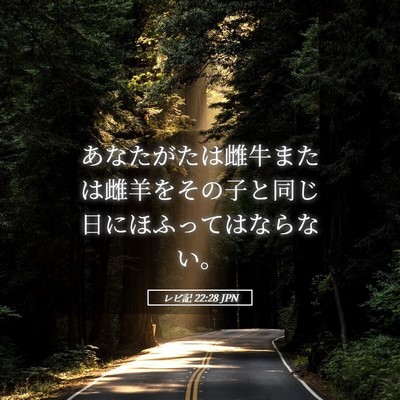 Picture 05 - レビ記 22:28 JPN - あなたがたは雌牛または雌羊をその - Bible Verse Picture