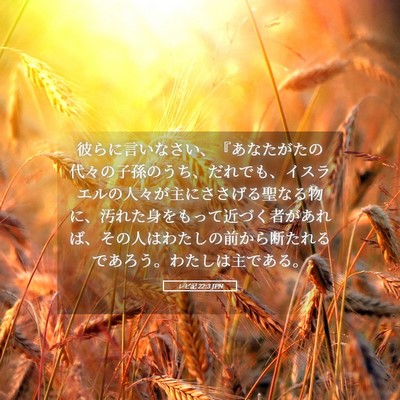 Picture 05 - レビ記 22:3 JPN - 彼らに言いなさい、『あなたがたの - Bible Verse Picture