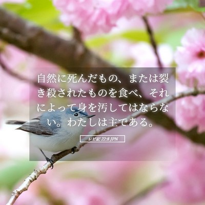 Picture 05 - レビ記 22:8 JPN - 自然に死んだもの、または裂き殺さ - Bible Verse Picture