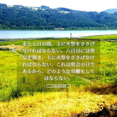Picture 05 - レビ記 23:36 JPN - また七日の間、主に火祭をささげな - Bible Verse Picture
