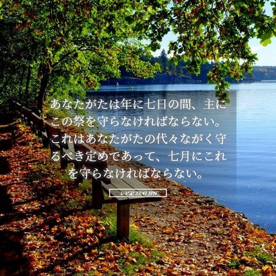 Picture 05 - レビ記 23:41 JPN - あなたがたは年に七日の間、主にこ - Bible Verse Picture