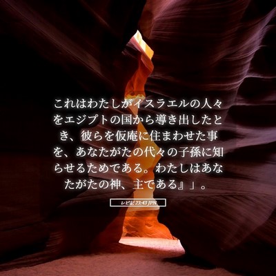 Picture 05 - レビ記 23:43 JPN - これはわたしがイスラエルの人々を - Bible Verse Picture