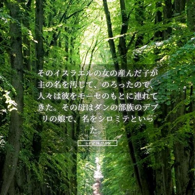 Picture 05 - レビ記 24:11 JPN - そのイスラエルの女の産んだ子が主 - Bible Verse Picture