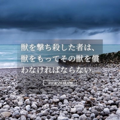 Picture 05 - レビ記 24:18 JPN - 獣を撃ち殺した者は、獣をもってそ - Bible Verse Picture