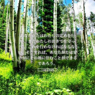 Picture 05 - レビ記 25:18 JPN - あなたがたはわたしの定めを行い、 - Bible Verse Picture