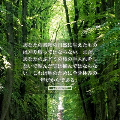 Picture 05 - レビ記 25:5 JPN - あなたの穀物の自然に生えたものは - Bible Verse Picture