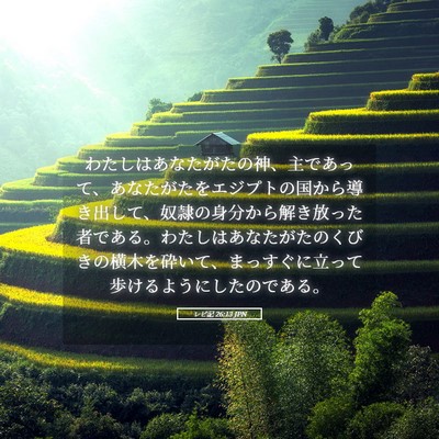 Picture 05 - レビ記 26:13 JPN - わたしはあなたがたの神、主であっ - Bible Verse Picture