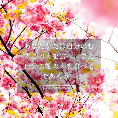 Picture 05 - レビ記 26:29 JPN - あなたがたは自分のむすこの肉を食 - Bible Verse Picture