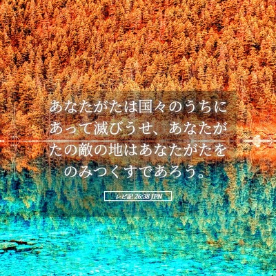 Picture 05 - レビ記 26:38 JPN - あなたがたは国々のうちにあって滅 - Bible Verse Picture