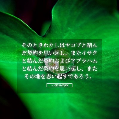 Picture 05 - レビ記 26:42 JPN - そのときわたしはヤコブと結んだ契 - Bible Verse Picture