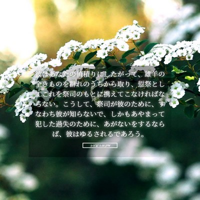 Picture 05 - レビ記 5:18 JPN - 彼はあなたの値積りにしたがって、 - Bible Verse Picture