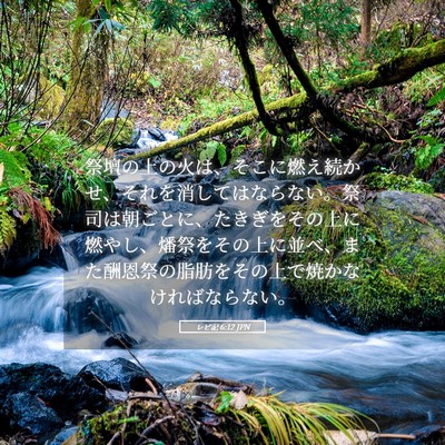 Picture 05 - レビ記 6:12 JPN - 祭壇の上の火は、そこに燃え続かせ - Bible Verse Picture