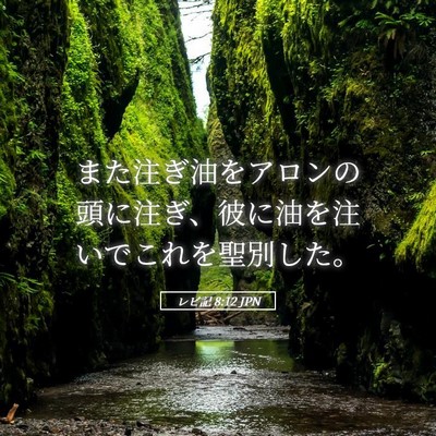 Picture 05 - レビ記 8:12 JPN - また注ぎ油をアロンの頭に注ぎ、彼 - Bible Verse Picture
