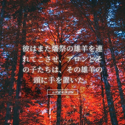 Picture 05 - レビ記 8:18 JPN - 彼はまた燔祭の雄羊を連れてこさせ - Bible Verse Picture