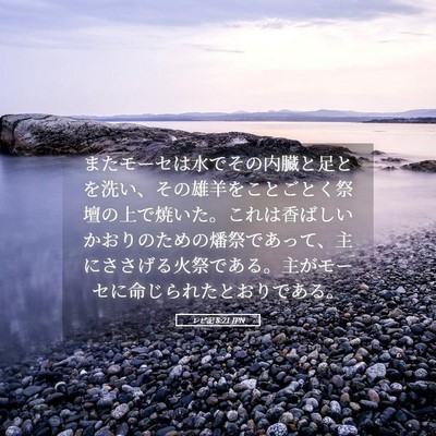 Picture 05 - レビ記 8:21 JPN - またモーセは水でその内臓と足とを - Bible Verse Picture