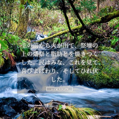 Picture 05 - レビ記 9:24 JPN - 主の前から火が出て、祭壇の上の燔 - Bible Verse Picture