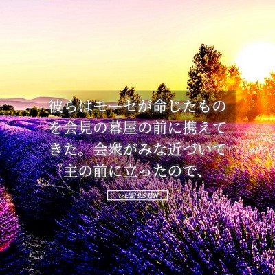 Picture 05 - レビ記 9:5 JPN - 彼らはモーセが命じたものを会見の - Bible Verse Picture